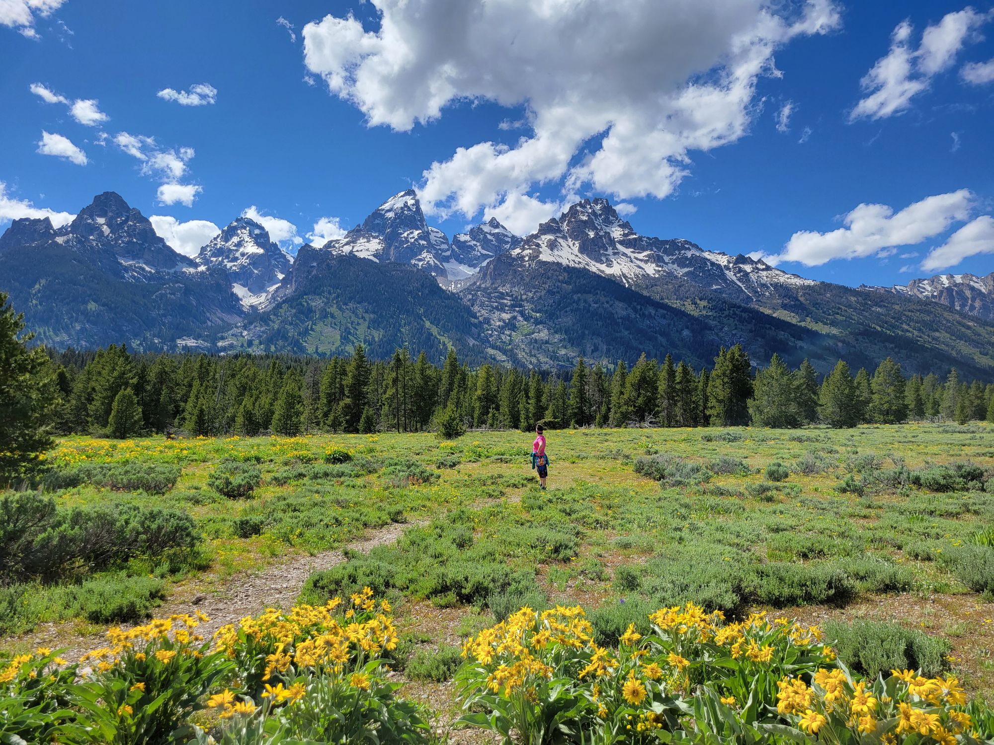 What Not to Miss in Grand Teton National Park