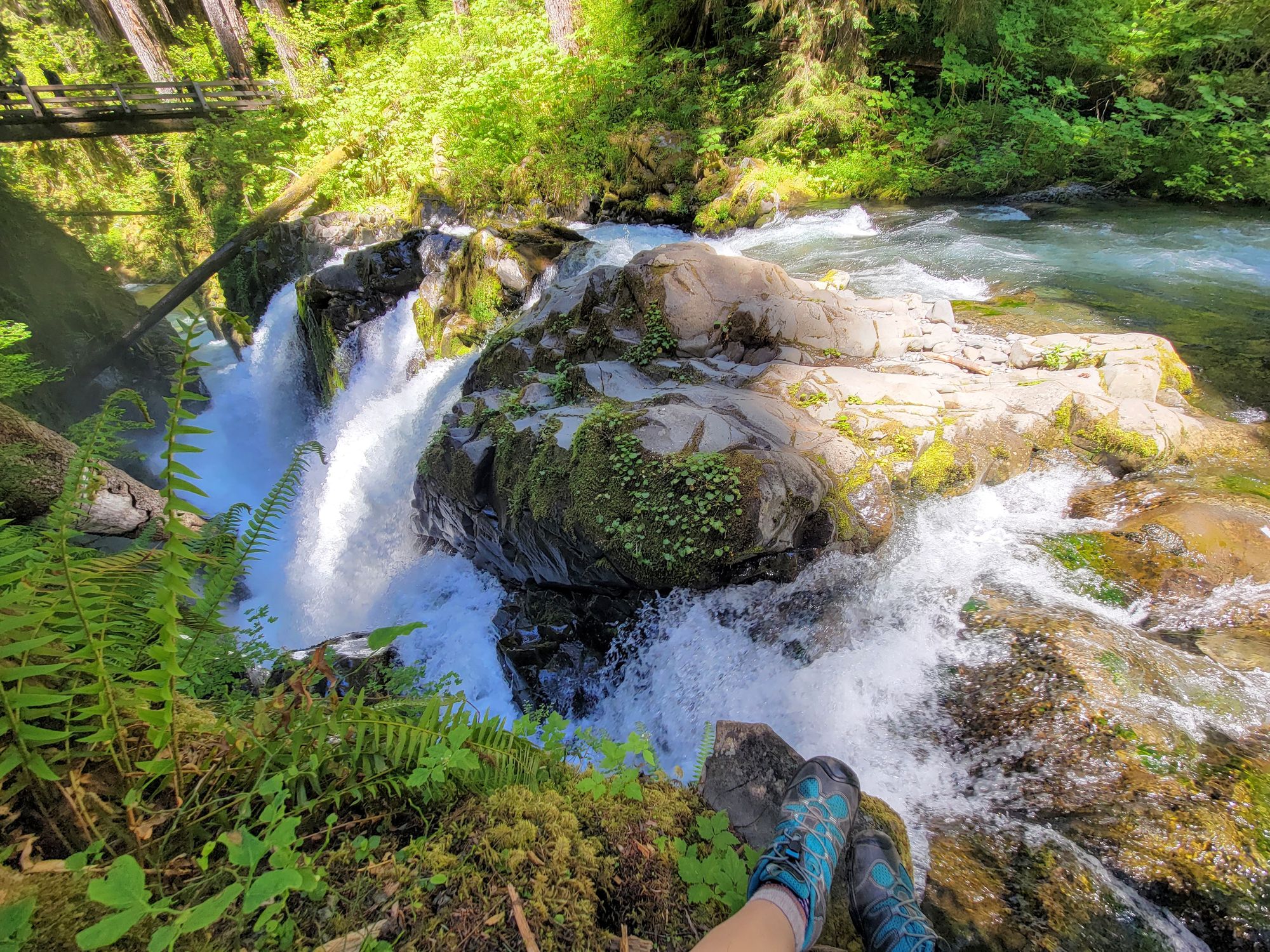 A Perfect Weekend in Olympic National Park